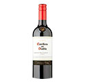 CASILLERO DEL DIABLO